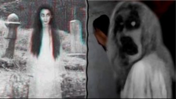 ηγ γδ