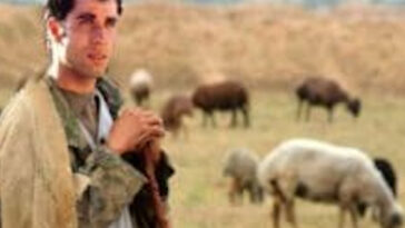 ΑΝΕΚΔΟΤΟ: Ο vτούρος βλάχος και η Γερμανίδα.Τρελό γέλιο!