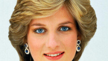 lady di,lady diana youtube,lady diana,lady diana australia,lady dior τσαντα τιμη,lady dior bag,lady dinner,lady dior mini,lady dior