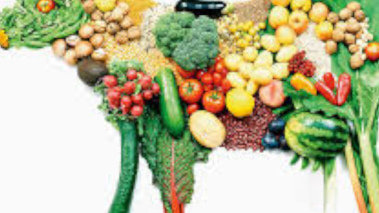 χορτοφαγοι,χορτοφαγοι διατροφολογοι,χορτοφαγοι στην ελλαδα,χορτοφαγοι δεινοσαυροι,χορτοφαγοι κατηγοριεσ,χορτοφαγοι vs κρεατοφαγοι,χορτοφαγοι μειονεκτηματα,χορτοφαγοι γιατροι,χορτοφαγοι τι τρωνε