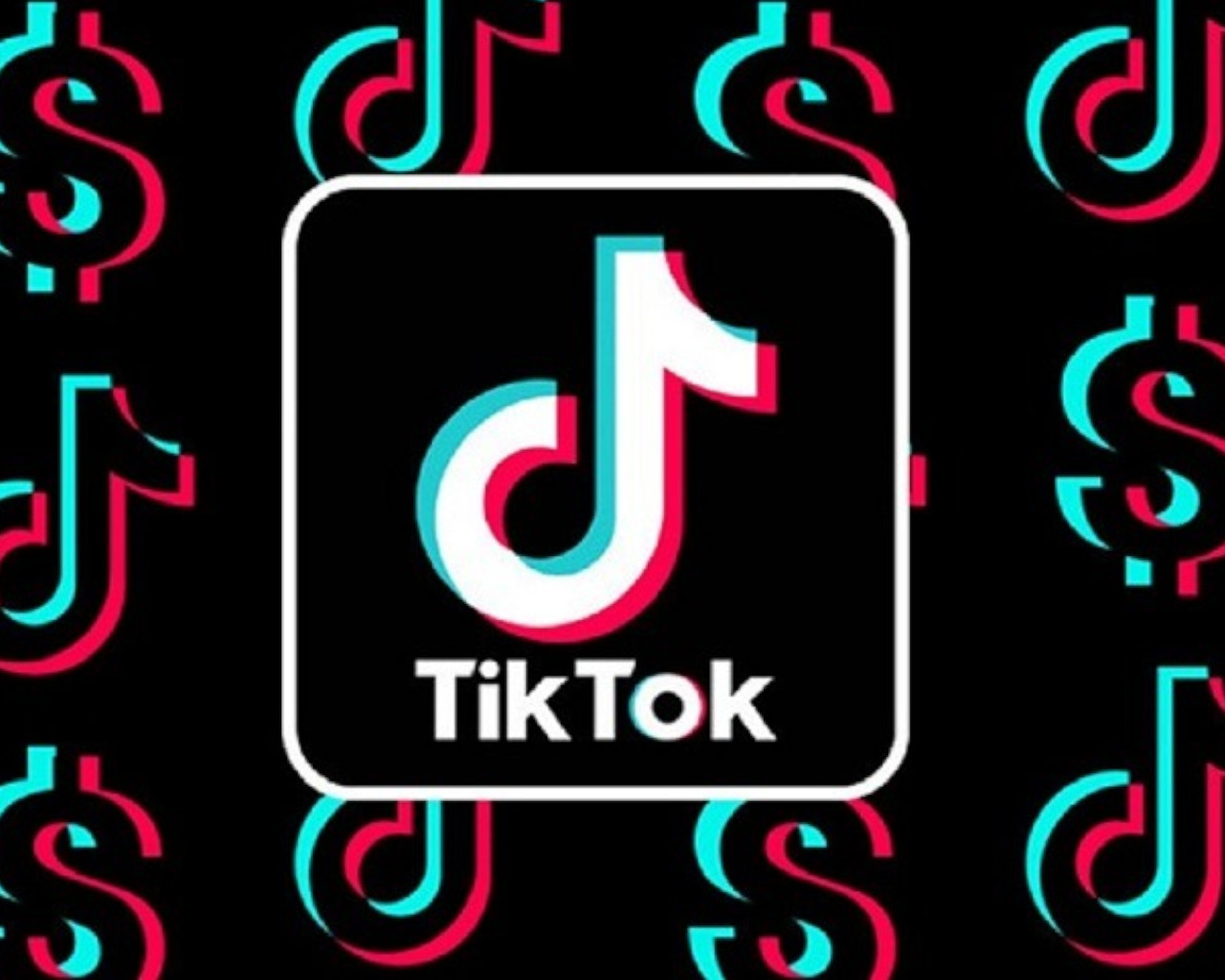 tiktok,tiktok search,tiktok downloader,tiktok followers,tiktok money,tiktokers,tiktok charli damelio,tik tok bitsiou