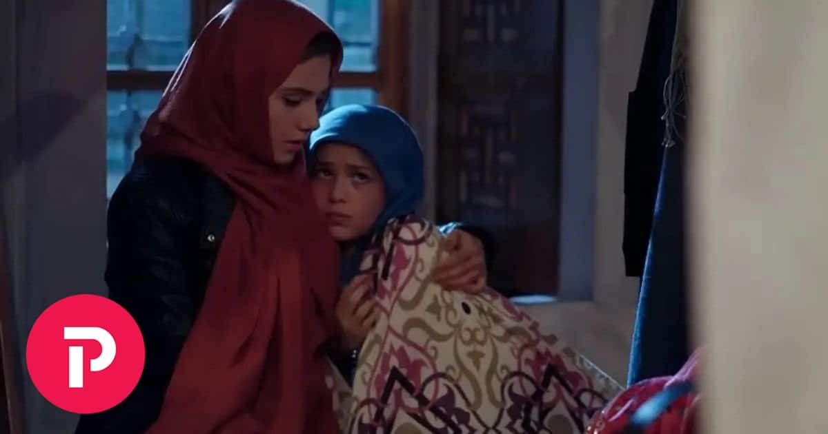 ELIF 24