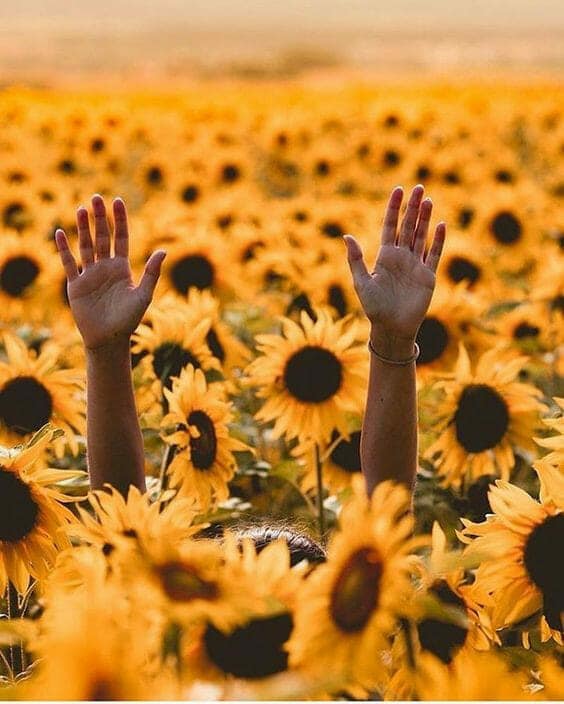 Wellness: Ανησυχείτε μήπως δεν καταφέρετε να βρείτε την ευτυχία;